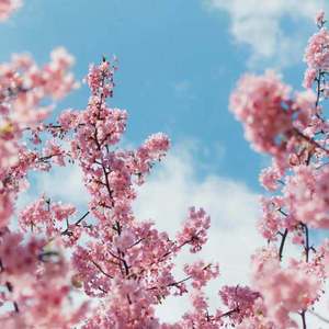 男c女🔞黄㊙️❌打睾丸
